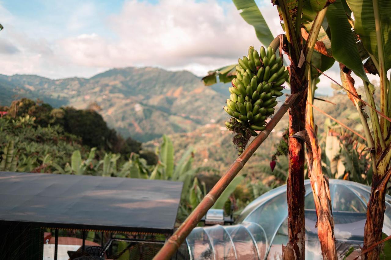 Willa Chami Glamping Manizales Zewnętrze zdjęcie