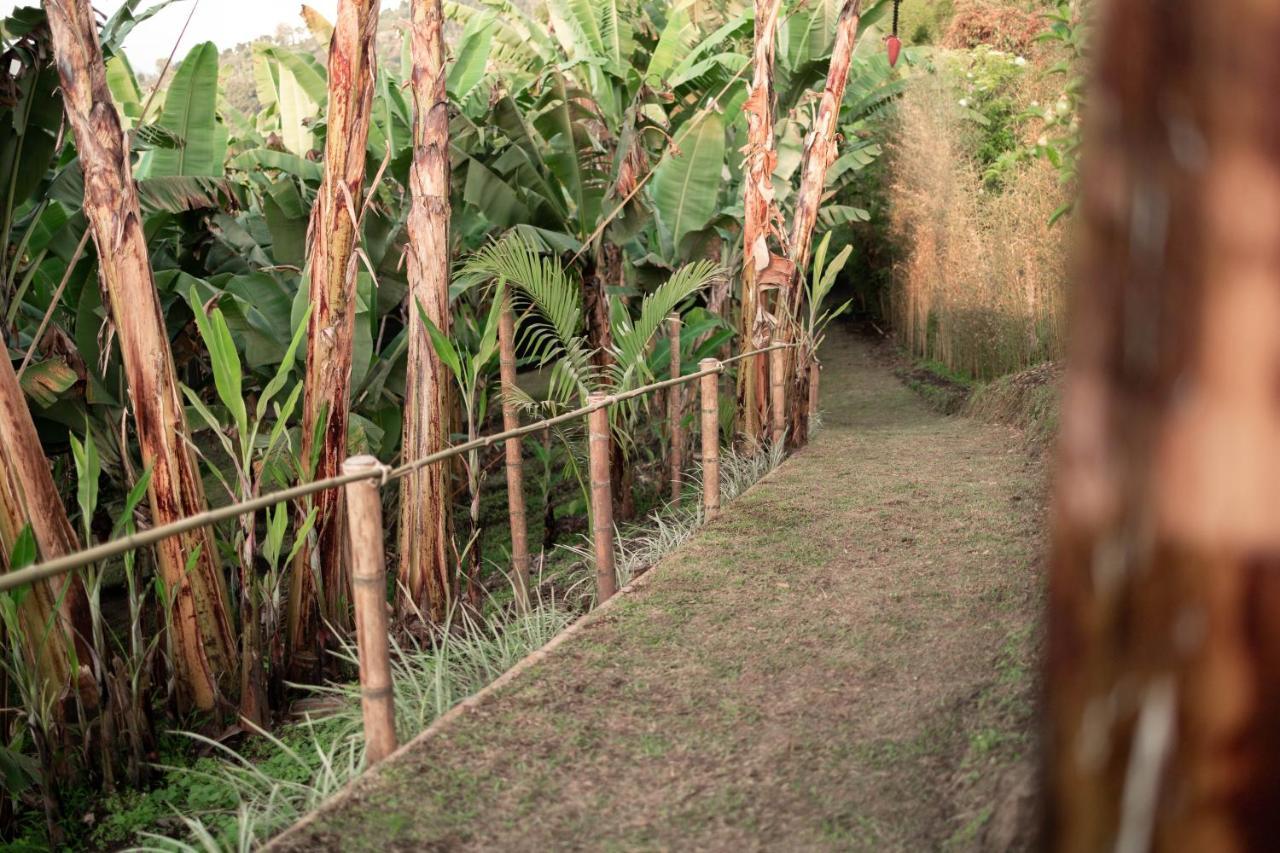 Willa Chami Glamping Manizales Zewnętrze zdjęcie