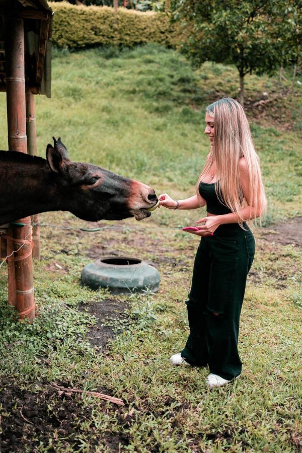 Willa Chami Glamping Manizales Zewnętrze zdjęcie