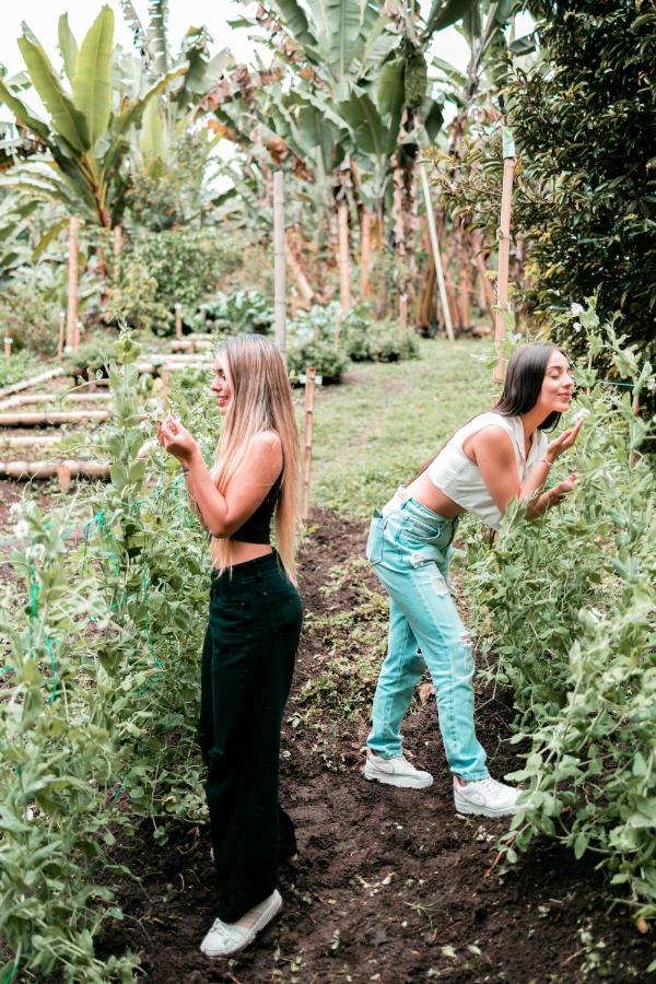 Willa Chami Glamping Manizales Zewnętrze zdjęcie