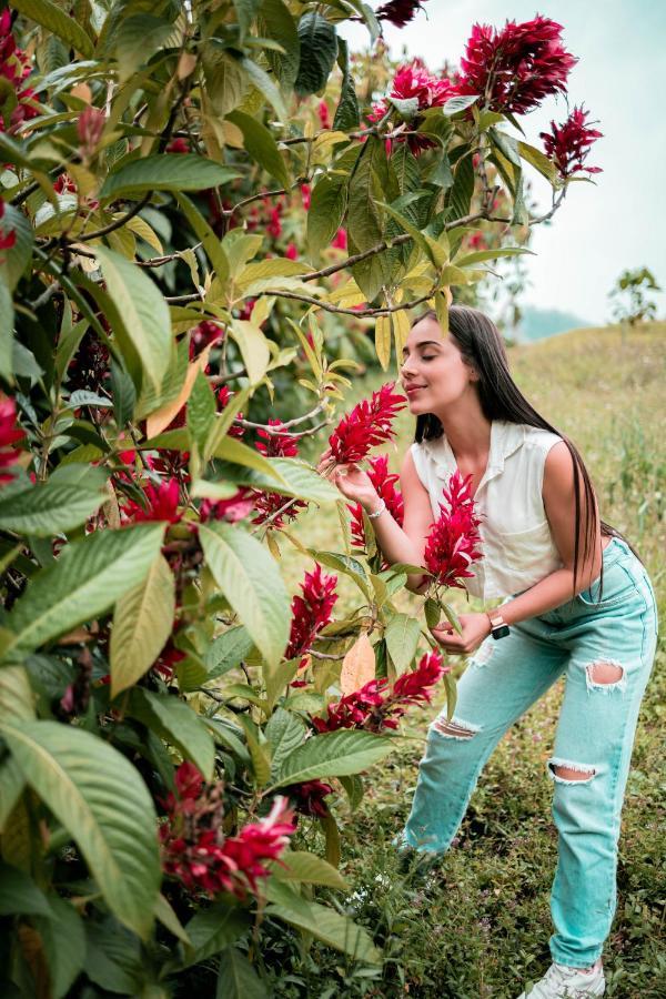 Willa Chami Glamping Manizales Zewnętrze zdjęcie