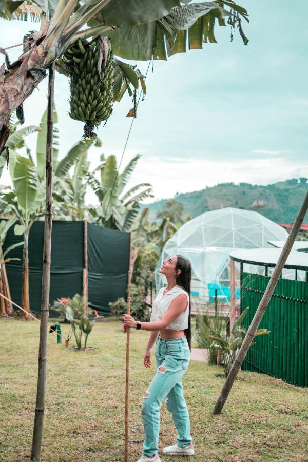 Willa Chami Glamping Manizales Zewnętrze zdjęcie