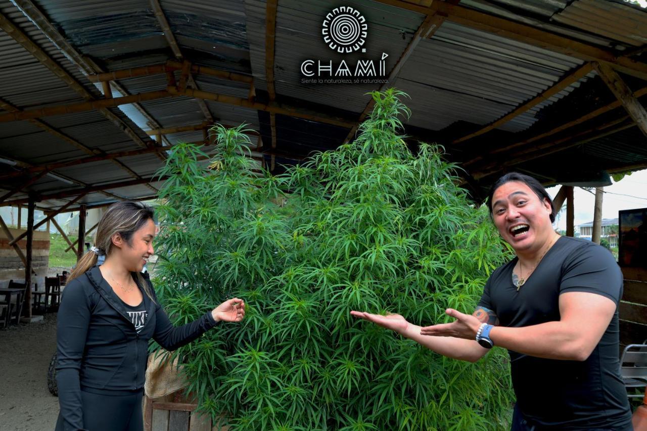 Willa Chami Glamping Manizales Zewnętrze zdjęcie