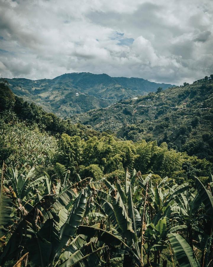 Willa Chami Glamping Manizales Zewnętrze zdjęcie