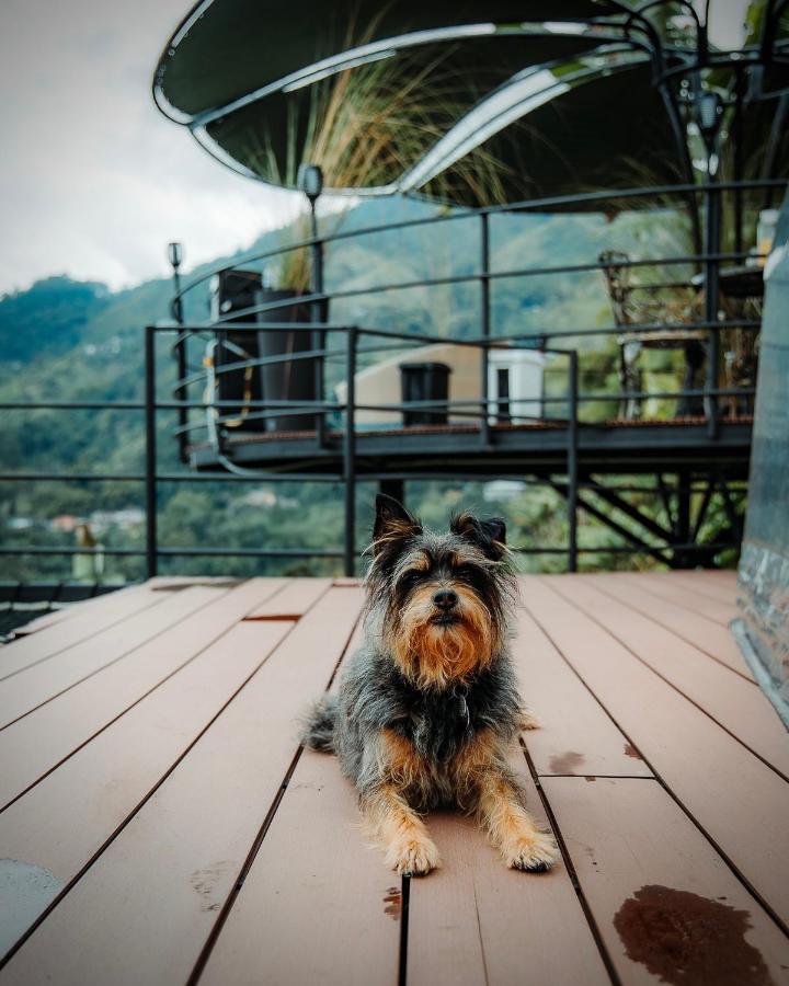 Willa Chami Glamping Manizales Zewnętrze zdjęcie
