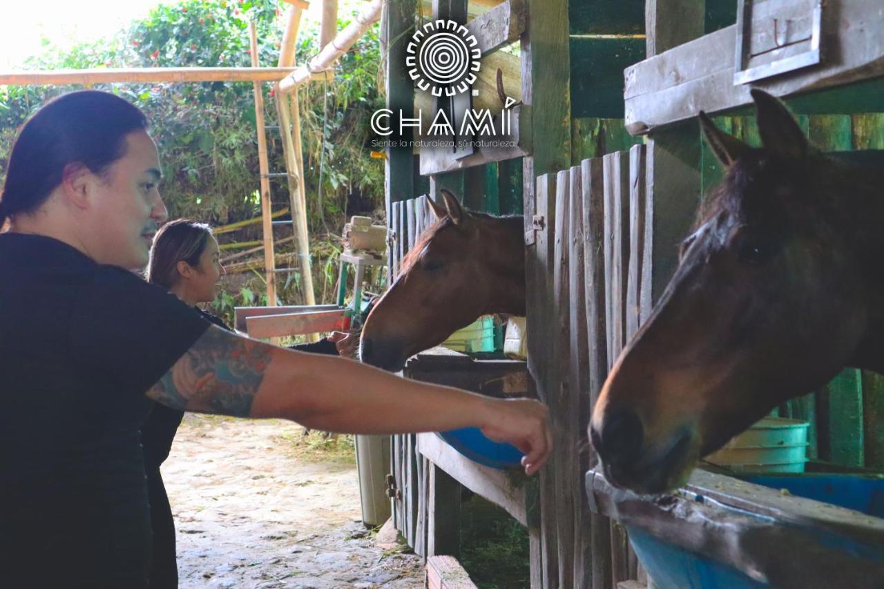 Willa Chami Glamping Manizales Zewnętrze zdjęcie