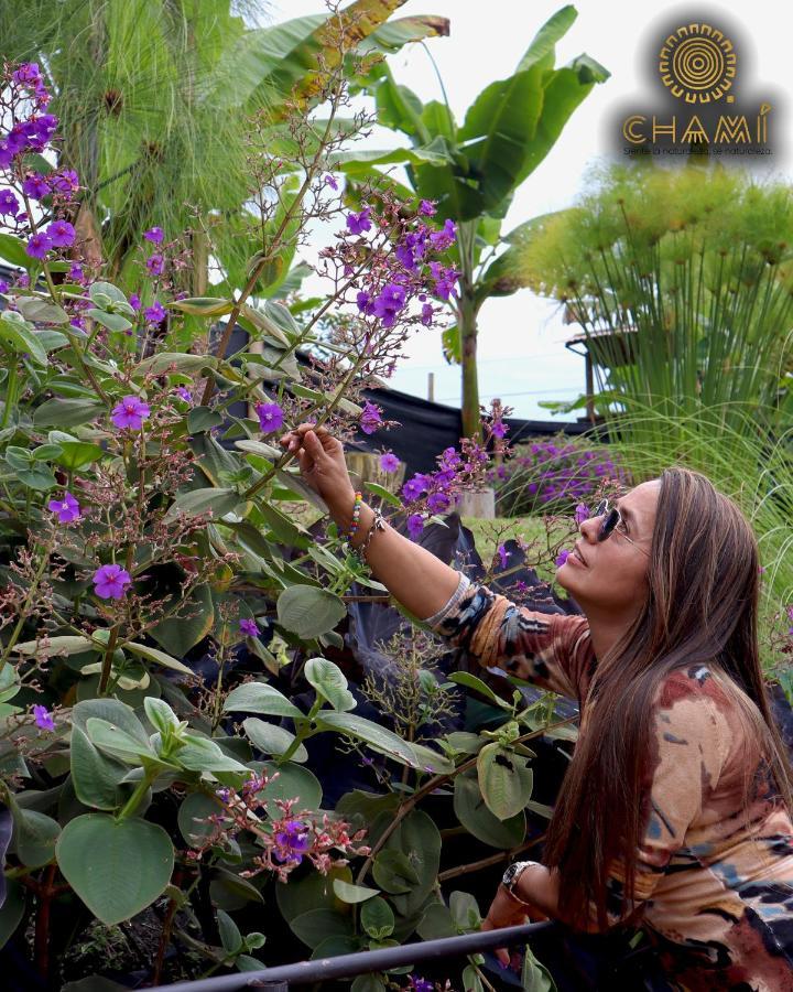 Willa Chami Glamping Manizales Zewnętrze zdjęcie